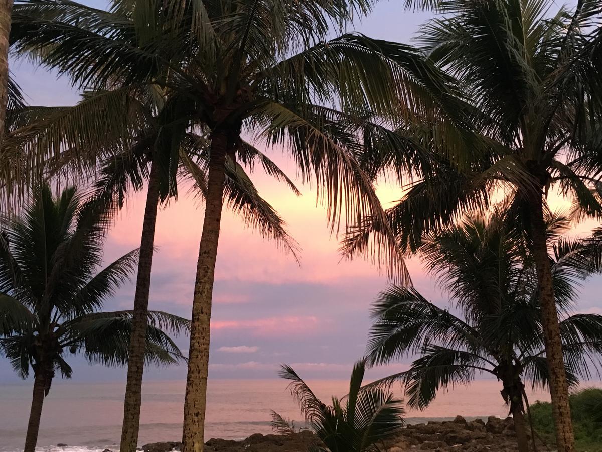Coconut Beach Homestay Beinan Eksteriør billede